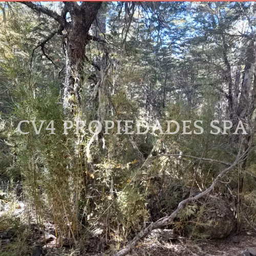 Terreno en Termas de Chillan - Imagen 16