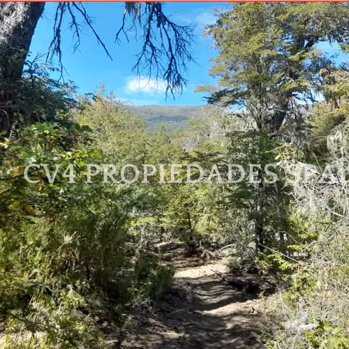 Terreno en Termas de Chillan - Imagen 18