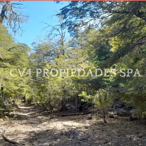 Terreno en Termas de Chillan - Imagen 17