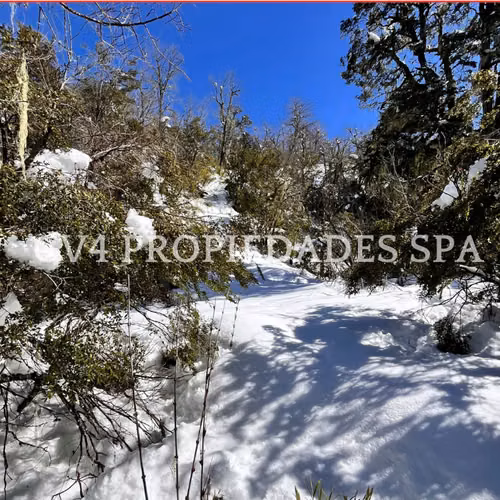 Terreno en Termas de Chillan - Imagen 14