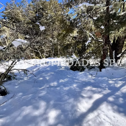 Terreno en Termas de Chillan - Imagen 5