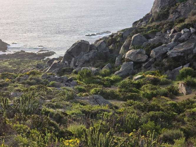 Terreno vista al mar El Arrayán, 5.028 m² (181596) - Imagen 19