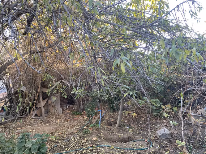 Propiedad 774 m2, Las Rosas - Imagen 4