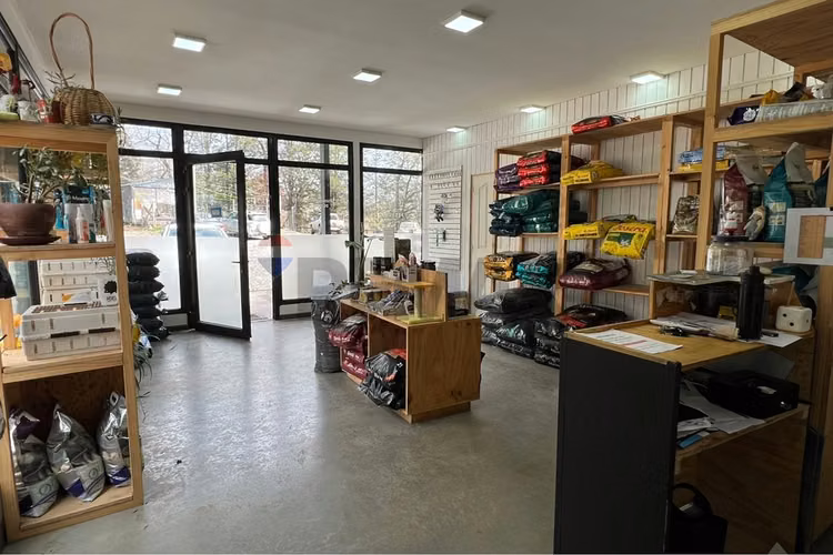 Arriendo local comercial, villarrica. - Imagen 12