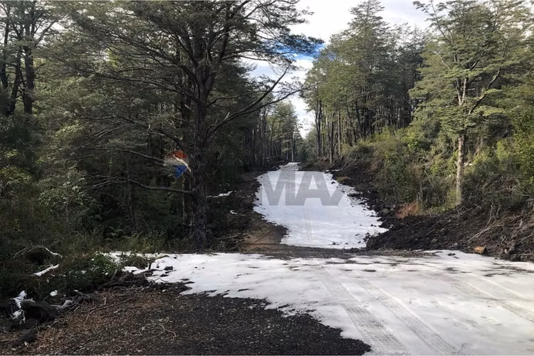 Parcela en venta bosque pucón – sector los nevados - Imagen 5