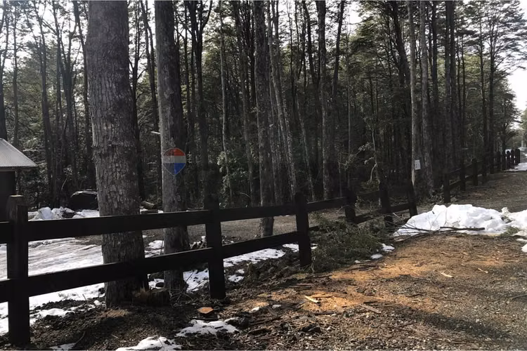 Parcela en venta bosque pucón – sector los nevados - Imagen 4