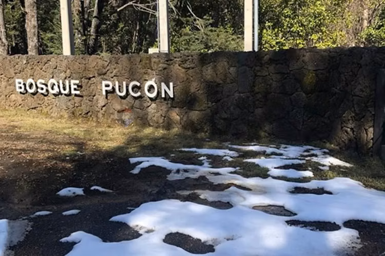 Parcela en venta bosque pucón – sector los nevados