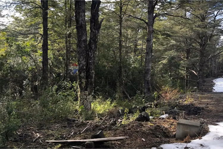 Parcela en venta bosque pucón – sector los nevados - Imagen 13