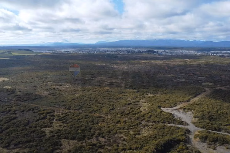 Campo 621 hectáreas en puerto varas - Imagen 9