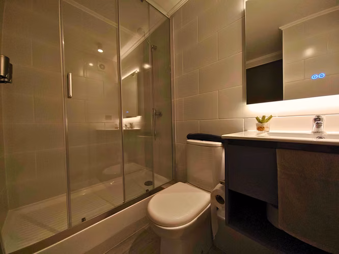 ARRIENDO AMOBLADO DEPTO 1 DORMITORIO 1 BAÑO - Imagen 10