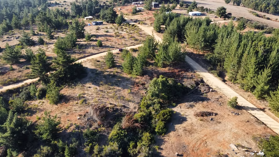 PARCELA EN PAÑUL ALTO PICHILEMU 5000M2 - Imagen 3