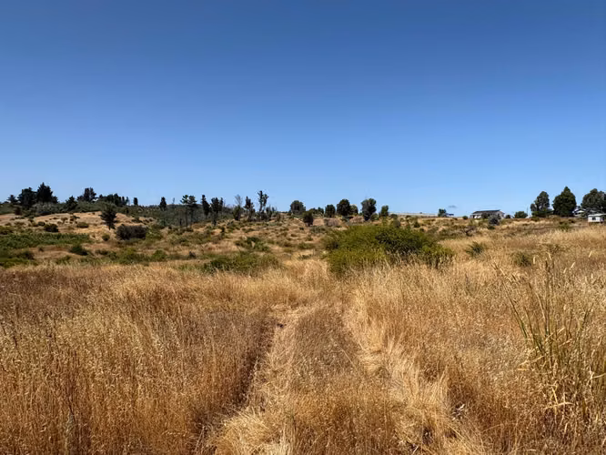  VENTA DE TERRENO EN HUACAMALA, COMUNA DE QUILLÓN  - Imagen 2