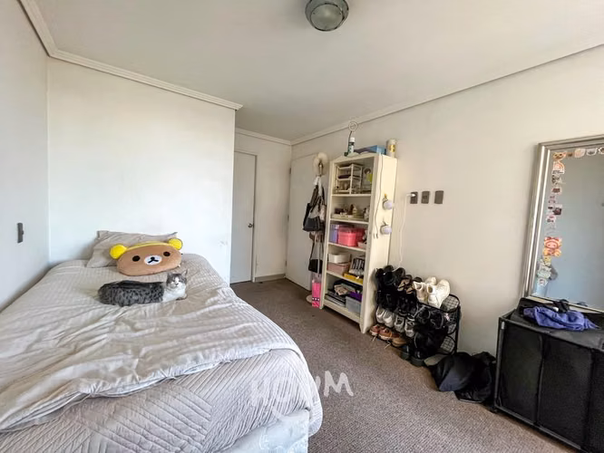 Departamento en Placilla - Imagen 12