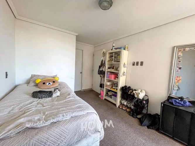 Departamento en Placilla - Imagen 16