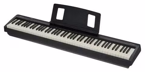 Piano Digital Roland FP-10 (88 Teclas Pesadas) + Kit de Protección – ¡Solo 3 meses de uso por viaje!