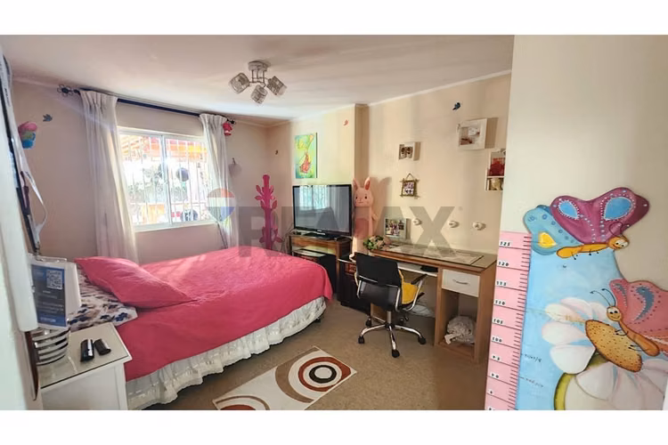 Pet lovers! este departamento es para ti! - Imagen 19