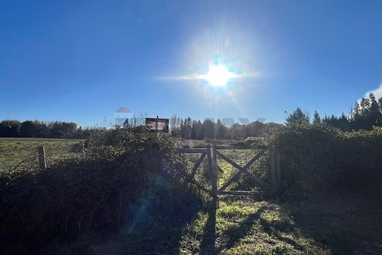 "parcela de ensueño en espiga de oro, negrete"