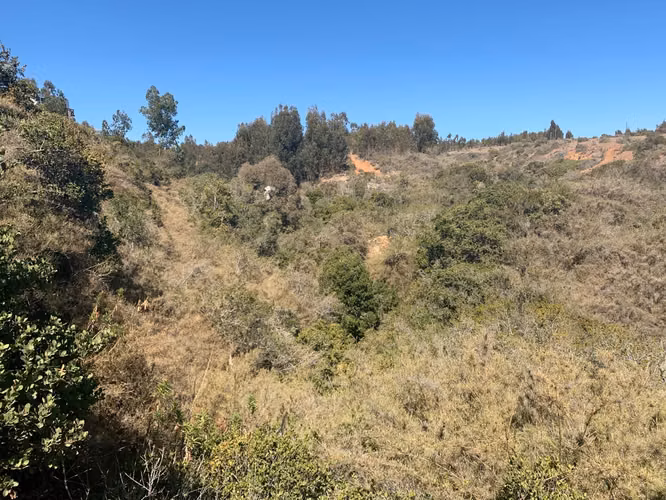 OPORTUNIDAD!! TERRENO, 13000 MTS CAMINO  EL YECO  TUNQUEN