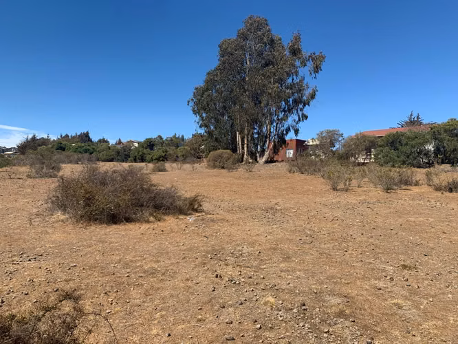 OPORTUNIDAD!! TERRENO, 13000 MTS CAMINO  EL YECO  TUNQUEN