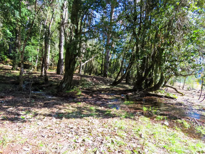 LAGO CABURGUA PESCA, NAVEGACIÓN, MONTAÑA, DESCONEXIÓN - Imagen 17