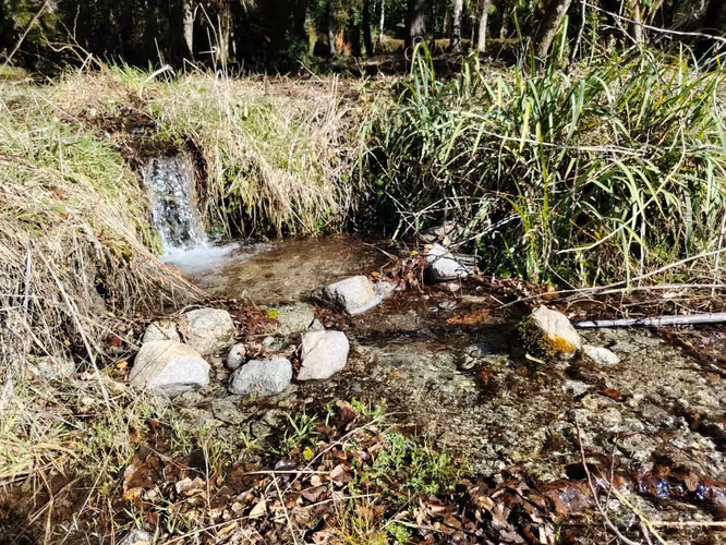 LAGO CABURGUA PESCA, NAVEGACIÓN, MONTAÑA, DESCONEXIÓN - Imagen 11