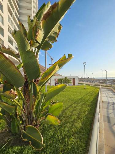 Precioso departamento en arriendo Ayllu (181646)