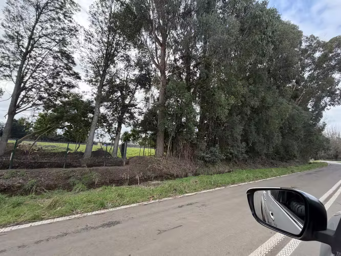 Parcela  de 5000 m2 Osorno   km 7  rut 215     camino lateral rio tijeral