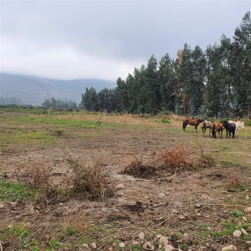 Terreno Construccion  en Venta en San Fernando - Imagen 19