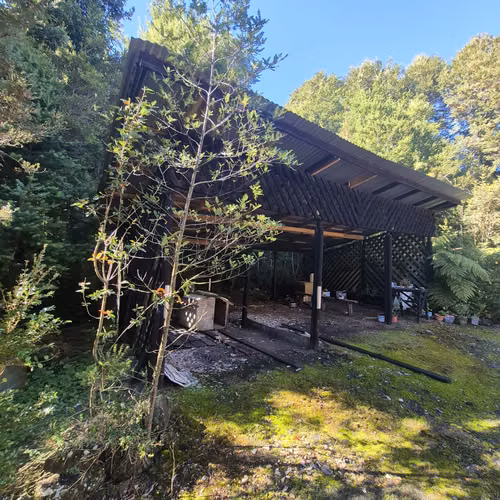 PROPIEDAD DE 2, 5 HECTARIAS CON UNA HERMOSA CASA - Imagen 12