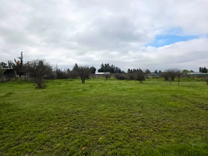 Parcela en Venta – Loteo Quebradilla de Lumaco - Rauco