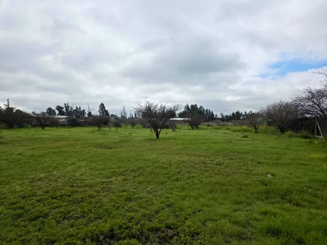 Parcela en Venta – Loteo Quebradilla de Lumaco - Rauco