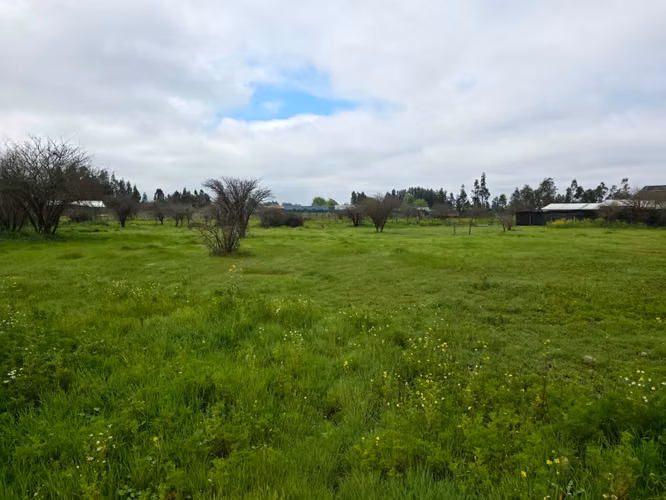 Parcela en Venta – Loteo Quebradilla de Lumaco - Rauco