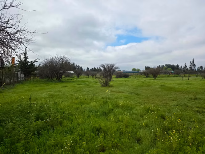 Parcela en Venta – Loteo Quebradilla de Lumaco - Rauco