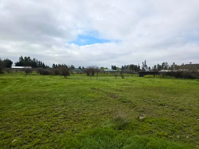 Parcela en Venta – Loteo Quebradilla de Lumaco - Rauco