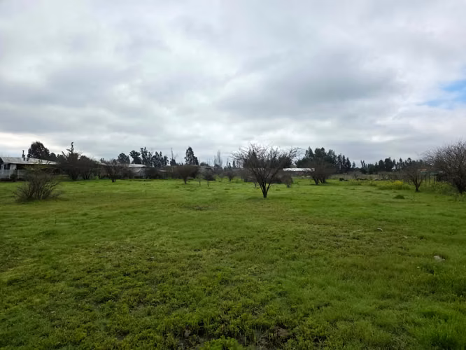 Parcela en Venta – Loteo Quebradilla de Lumaco - Rauco