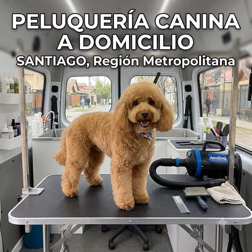 Peluquería Canina