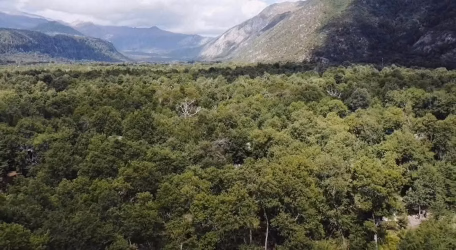 Terreno, Termas de Chillán, Las Trancas, 2.000m2 - Imagen 5