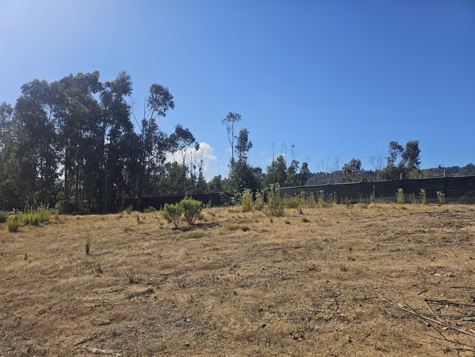 EXCLUSIVA PARCELA FRENTE  PLAYA TUNQUÉN CONDOMINIO BOSQUEMAR - Imagen 11