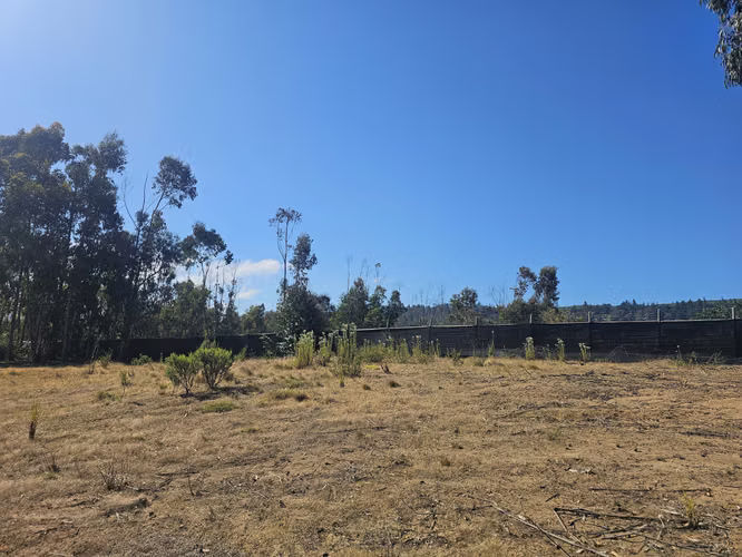 EXCLUSIVA PARCELA FRENTE  PLAYA TUNQUÉN CONDOMINIO BOSQUEMAR - Imagen 15
