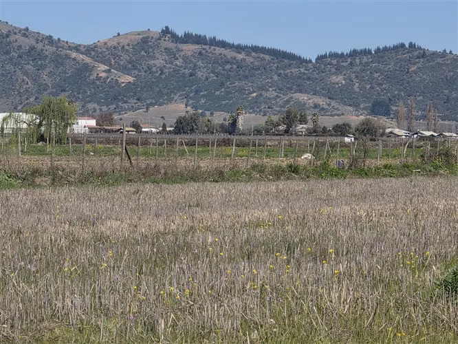 Parcelas planas en Peralillo, con derechos de agua - Imagen 6