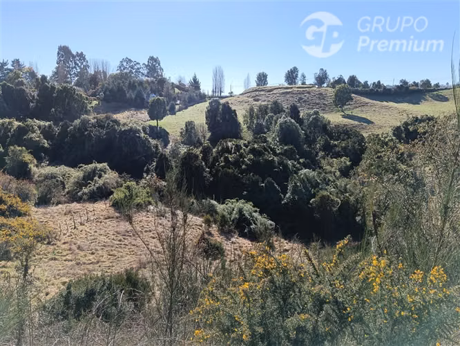 CASA NUEVA EN PARCELA DE 6.000 m LLAU LLAO, CASTRO - Imagen 38