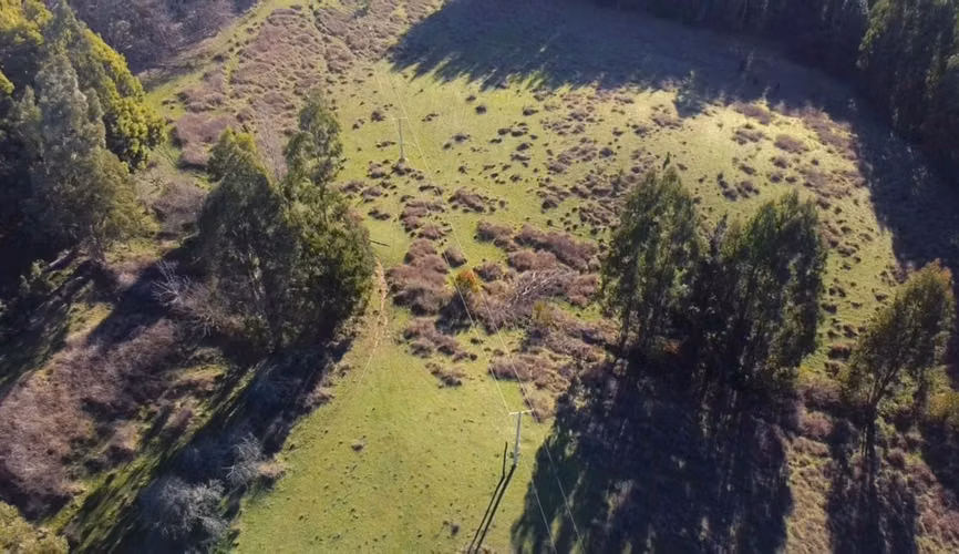CAMPO DE 4 HECTÁREAS CON EUCALIPTOS  EN LA UNIÓN