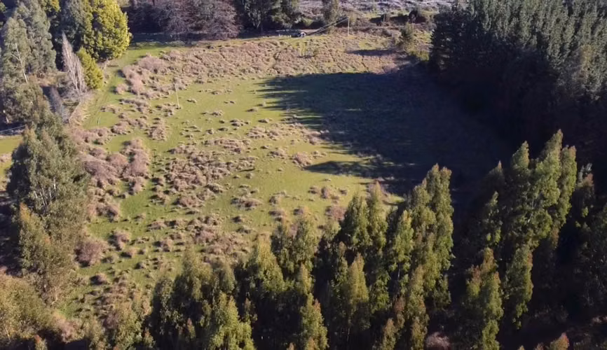 CAMPO DE 4 HECTÁREAS CON EUCALIPTOS  EN LA UNIÓN