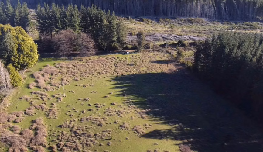 CAMPO DE 4 HECTÁREAS CON EUCALIPTOS  EN LA UNIÓN