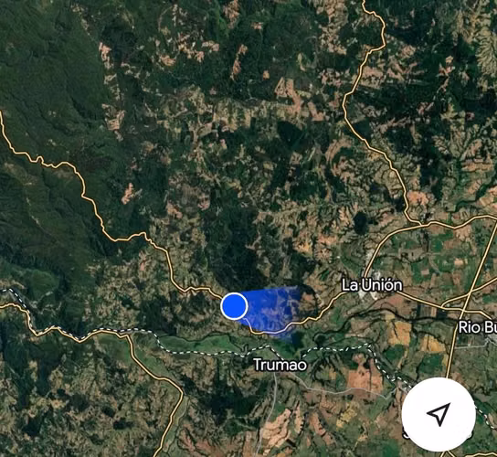 CAMPO DE 4 HECTÁREAS CON EUCALIPTOS  EN LA UNIÓN