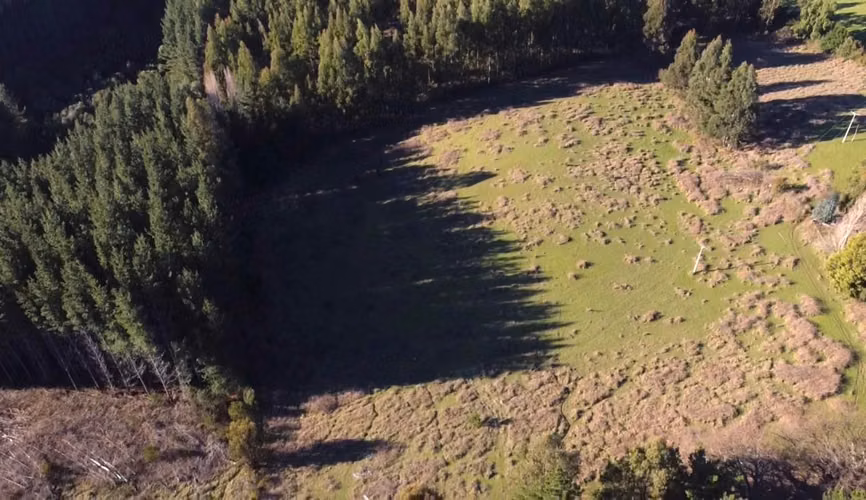 CAMPO DE 4 HECTÁREAS CON EUCALIPTOS  EN LA UNIÓN