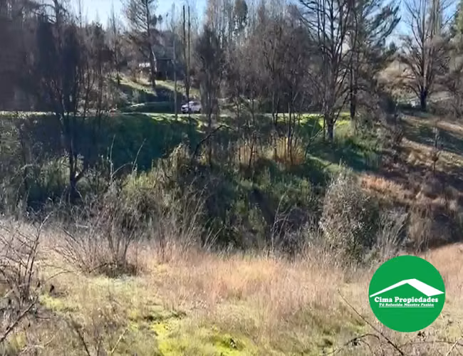 Parcela con acceso directo Ruta de la Madera, a pasos de Nacimiento - Imagen 8