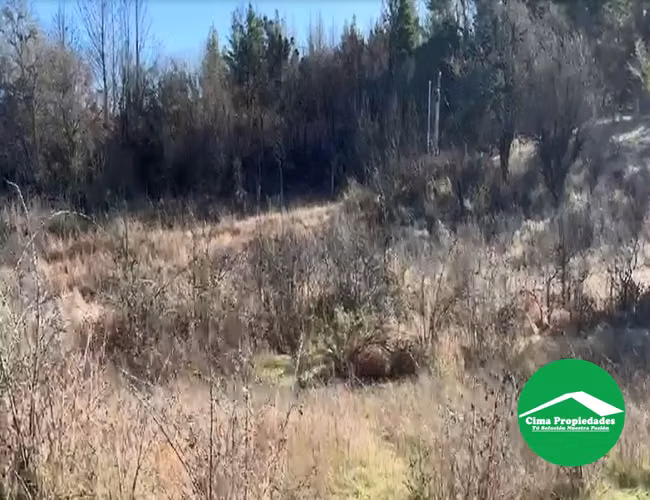 Parcela con acceso directo Ruta de la Madera, a pasos de Nacimiento - Imagen 7
