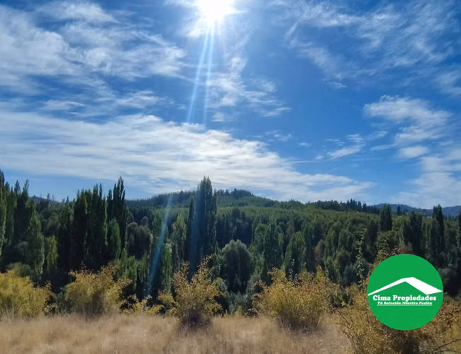 Parcela con acceso directo Ruta de la Madera, a pasos de Nacimiento - Imagen 3