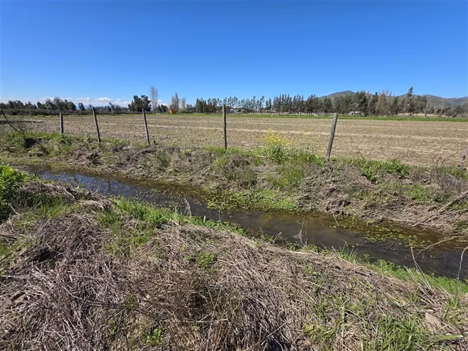 Parcelas planas en Peralillo, con derechos de agua - Imagen 13